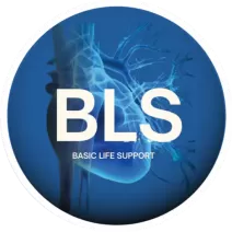 BLS - Basic Life Support (BLUMENAU)