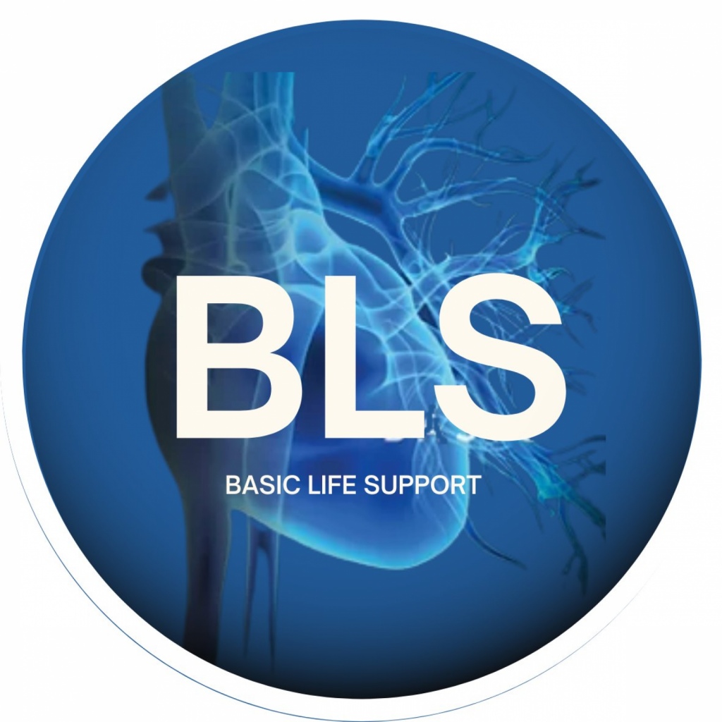 Basic Life Support (BLS) Blumenau/SC T05