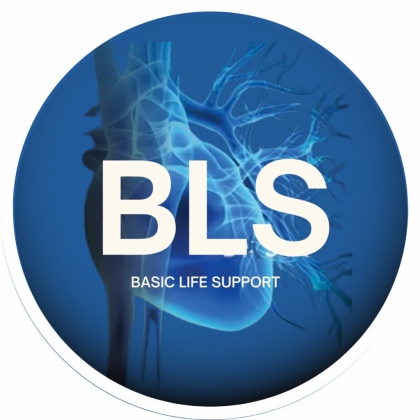 Basic Life Support (BLS) Tubarão/SC T06